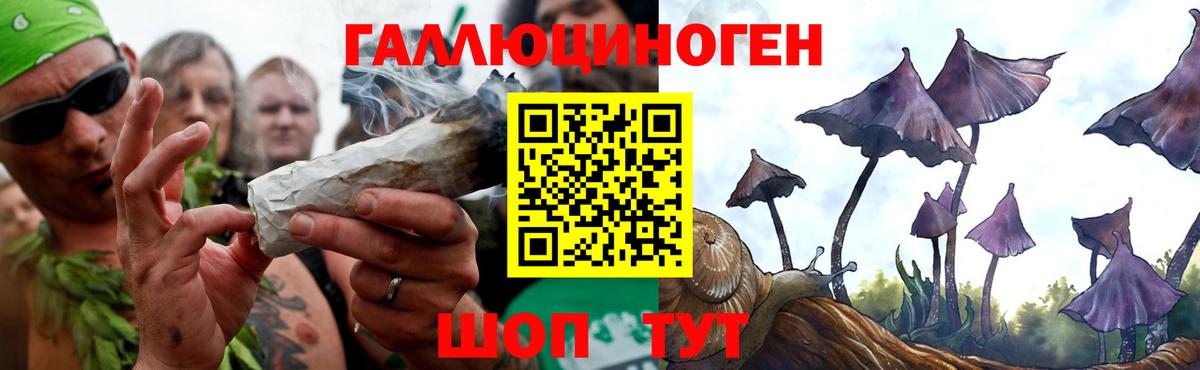Псилоцибиновые грибы прущие грибы Железногорск